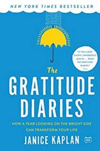 gratitude diaries book: van life self-care